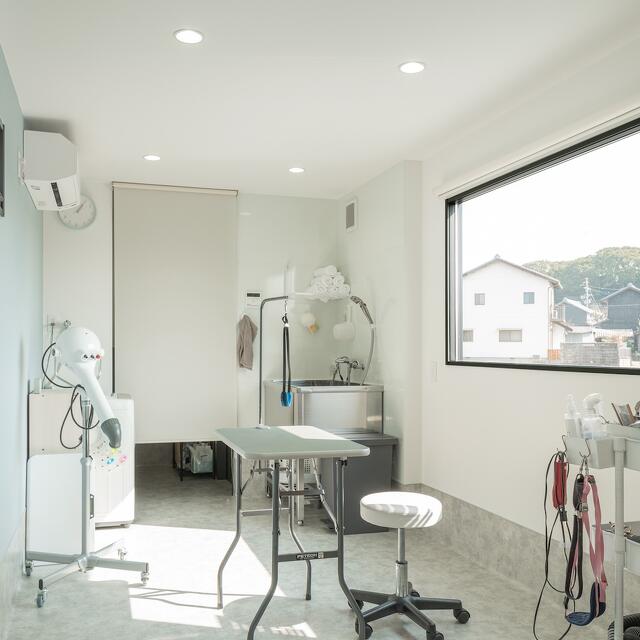 トレーラーハウス　トリミングサロン　内観